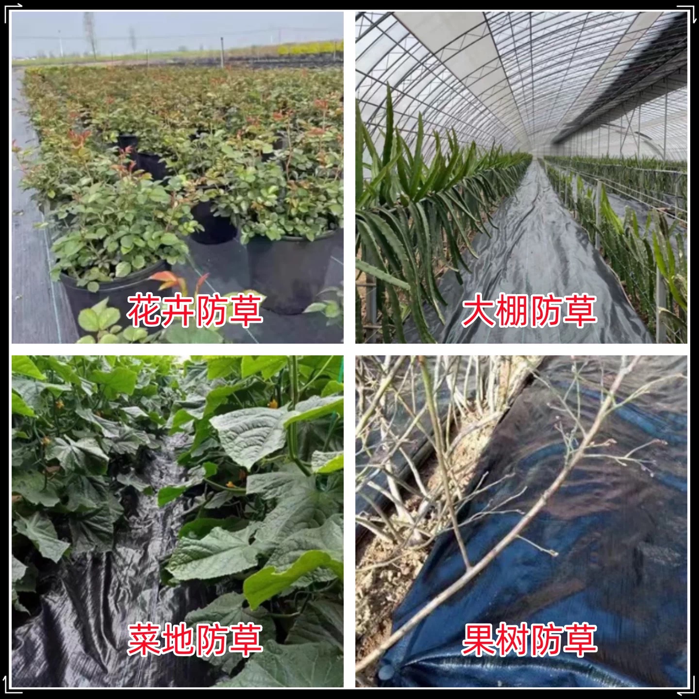 晋中市工程膜防草布 - 价格
